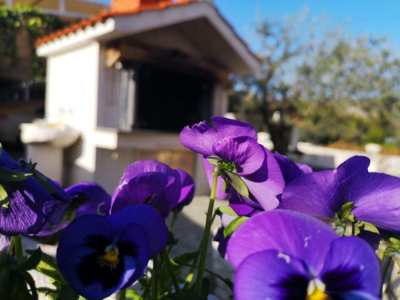 Apartamento Loni *